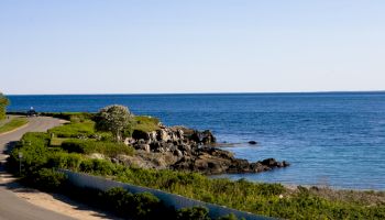 A coastal road curves along the ocean, with rocky cliffs, lush greenery, and calm blue waters under a clear sky.